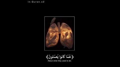 استوريات انستا دينيه حالات واتس اب قرآن كريم/ تلاوه عطره للقارى هزاع البلوشي  ارح مسمعك