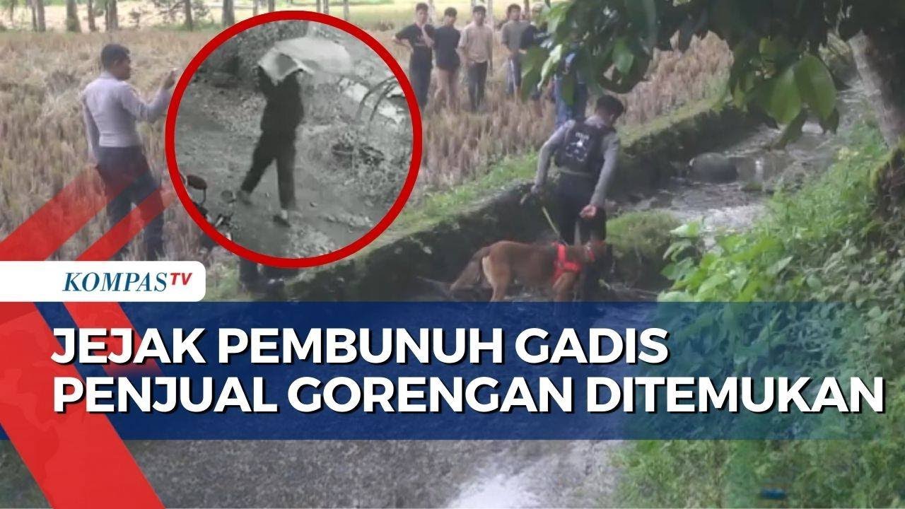 Jejak Pembunuh Gadis Penjual Gorengan, Celana Hingga Dompet Pelaku Ditemukan Polisi