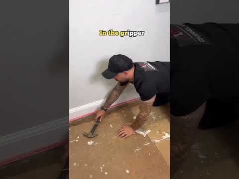Videó: Hogyan tudom letiltani a szőnyegválasztást?