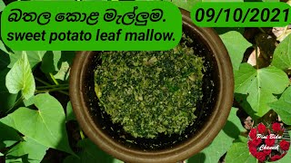 බතල කොළ මැල්ලුම.Sweet potato leaf mallow by 