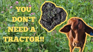 DON'T Buy a Planter, EVERY COW COMES EQUIPPED WITH ONE! | Faecal Seeding Legumes