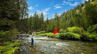 I Spent 15 Hours Off-Grid Backpacking & Fishing Bull Trout