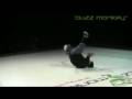 Buzz Monkey Energy Drink Dance Competition 2008 Compilation 7 Buzz Monkey Energy Drink Dance Competition 2008 Compilation 7