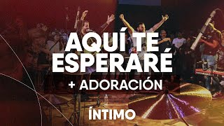 Aquí te esperaré + Jesús + Al que está sentado en el trono (Live) (Toma Tu Lugar) | Íntimo