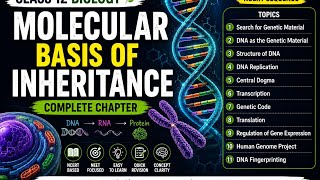 Molecular Basis of Inheritance | Class 12 Biology Chapter 6 | NEET 2027 | NCERT Line by Line
