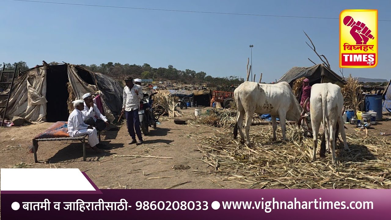 ऊस तोडणी मजूर निघाले गावाकडं l मरेपर्यत कष्ट करण्याशिवाय त्यांच्यापुढे पर्यायच नाही l