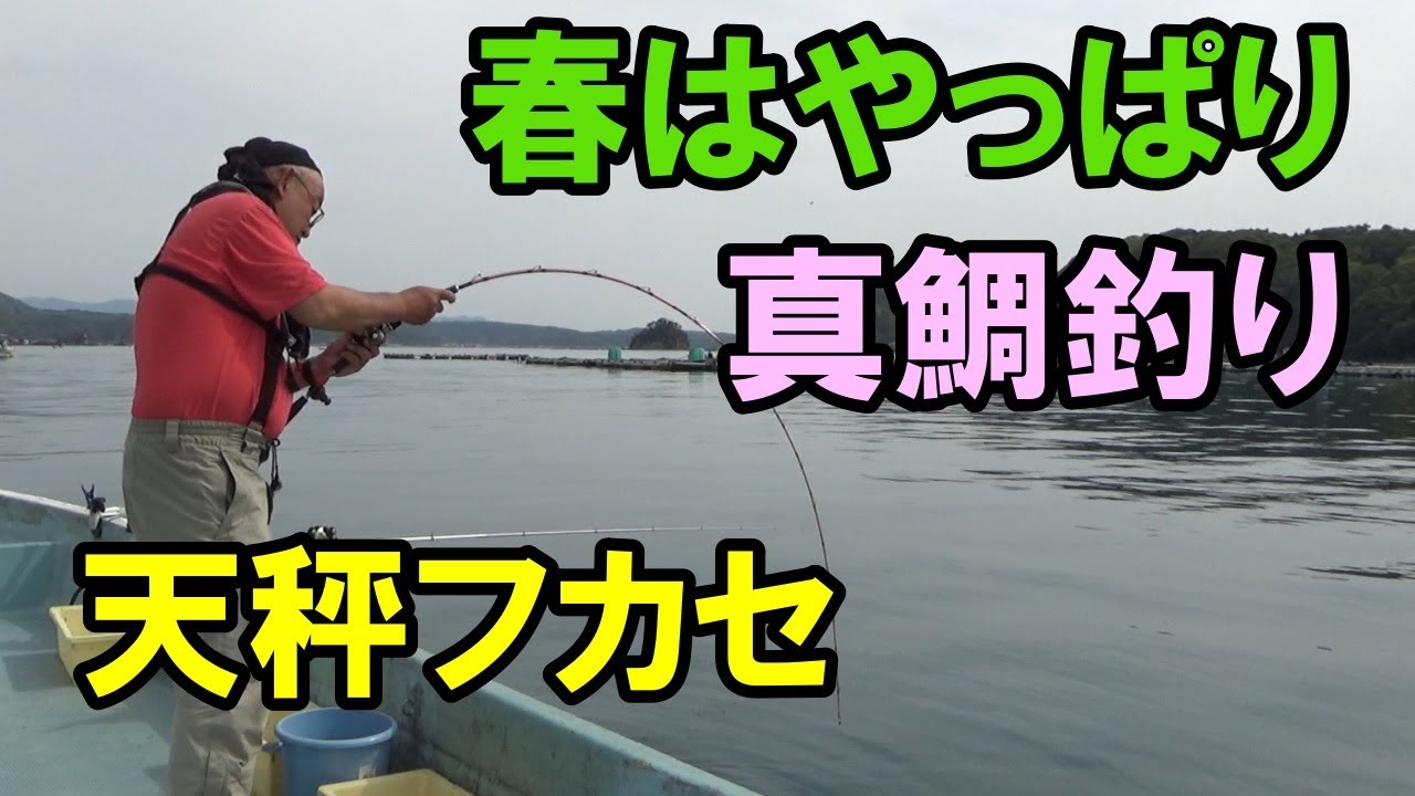 真鯛の天秤フカセ 話題の浅海35ｍでやってみた Youtube