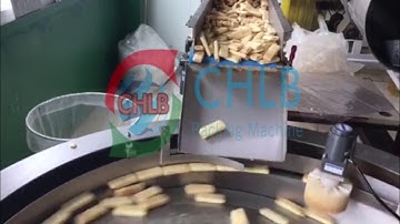 CHLB  turntable feeder high speed packing machine