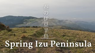 Walking though the Izu Peninsula in Spring | Japan Hiking Vlog