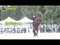 جواهر بلا حدود كلاش او كلانس الموقع بالوصف جواهر بلا حدود كلاش او كلانس الموقع بالوصف