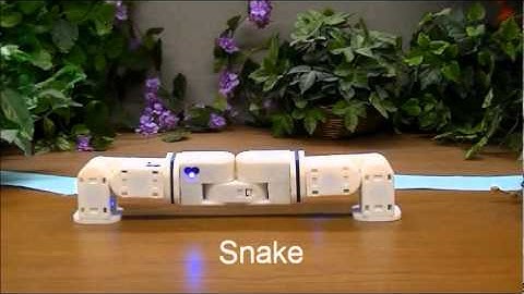 Mobots in the Forest