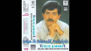 Tuncay Karabay -  Sevmeyeceğim