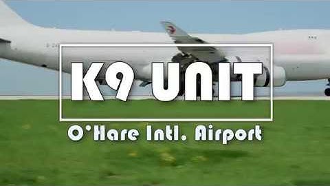 CPD Video Series Presents I Chicago Police Canine Airport Unit