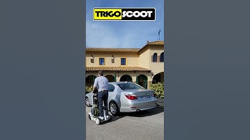Micro Golfscooter: Transforms Hoverboards into a Versatile Golf Companion! Segway, Ninebot, Inmotion