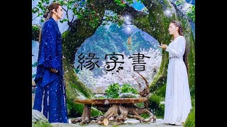 蘇詩丁 - 緣字書(Yuan Zi Shu) | 《三生三世枕上書》