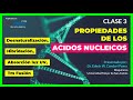  3 los acidos nucleicos y propiedades desnaturalizacion hibridacion absorcion uv tm melting