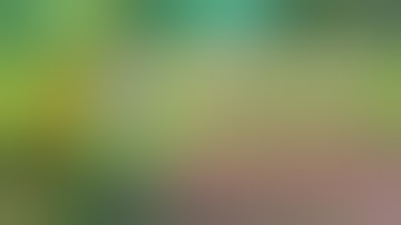 Plant vs Undead/NFT Plant Skill #pvu #nftgame