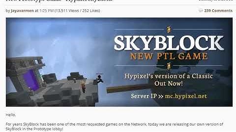 the hypixel skyblock experience