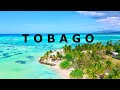Tobago travel guide trinidad  tobago  all top sights in 4k  drone