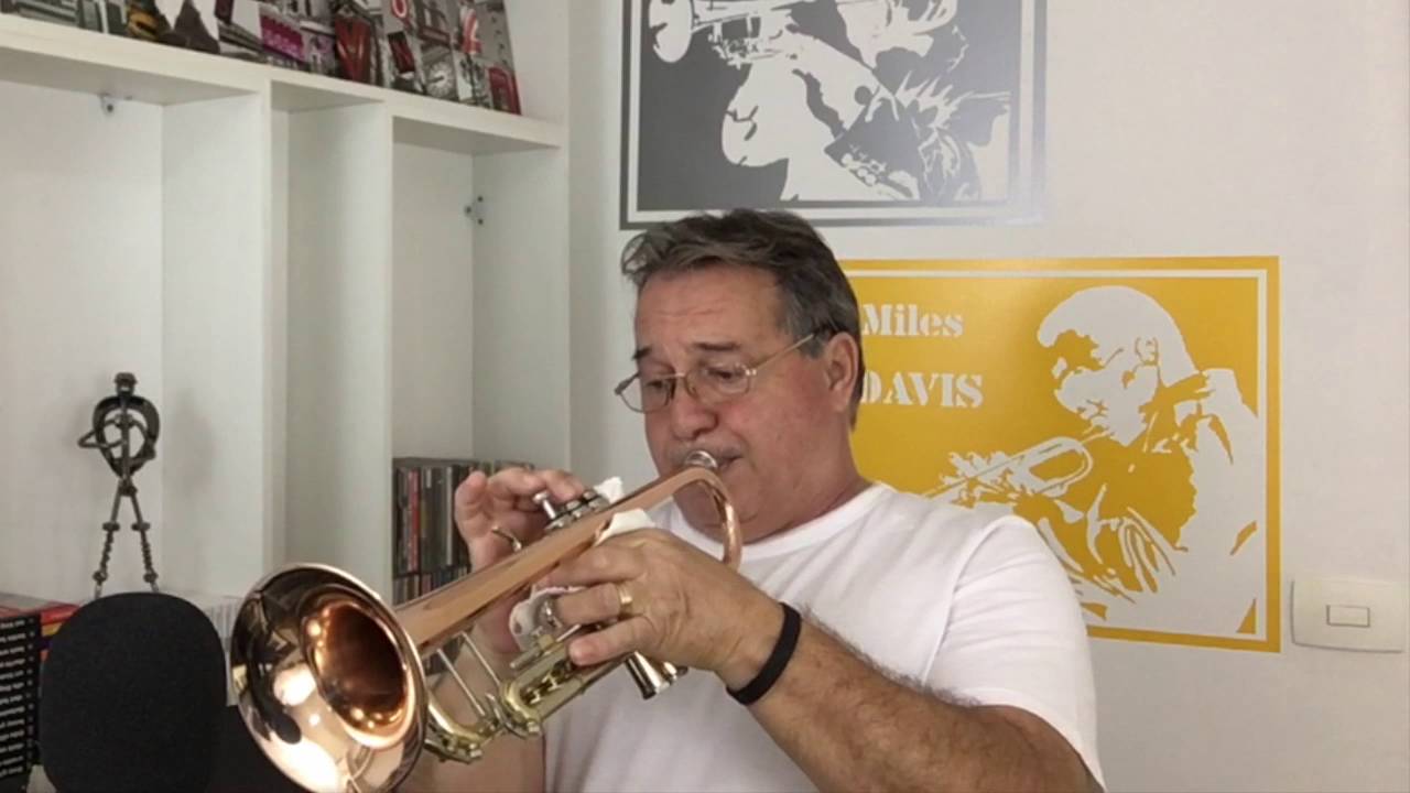 I've Got You Under My Skin - Trompete