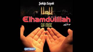 Ne Dervişim Ne Pirim - Şekip Sayık - Offical Audio