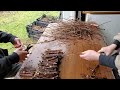 Hardwood cuttings  processing for shipping