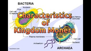 |Characteristics of Kingdom Monera | Classification| Biology | Master Biology