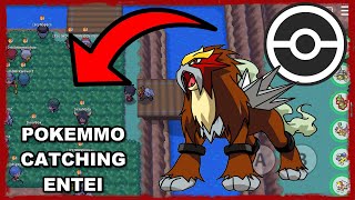 Catching Entei In Pokemonmmo 10032023