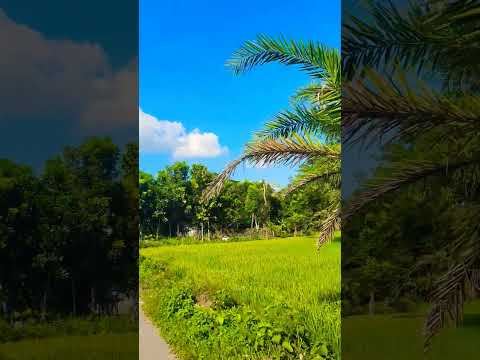 Just Lookin Like A Wow