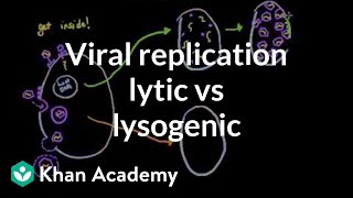 Viral replication: lytic vs lysogenic | Cells | MCAT | Khan Academy