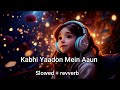 Kabhi Yadoon Me Aaun Song (Slowed And Reverb) Mp3 Song