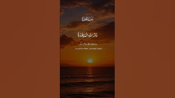 ويل لكل همزه لمزه|سورة الهمزة كاملة بصوت جميل |قران كريم 🌹❤️