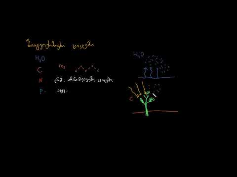 ბიოგეოქიმიური ციკლების მიმოხილვა