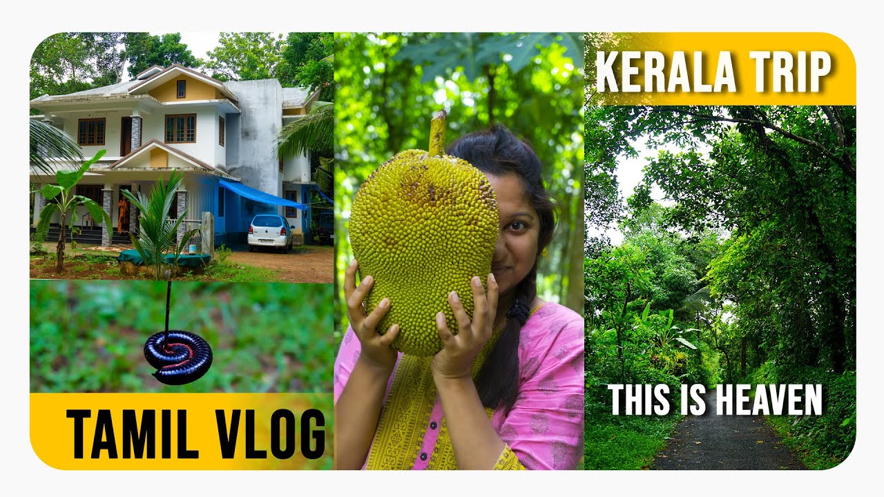 Ente Keralam! Kerala Trip VLOG | Kerala Diaries | Kerala Tamil Vlog | RJ Archana | Archana Vlog