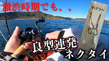 ネクタイ何色 はもう古い 厳寒期瀬戸内タイラバ 22 2 Mp3