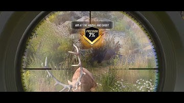 Hunting Clash gameplay walkthrough P-2