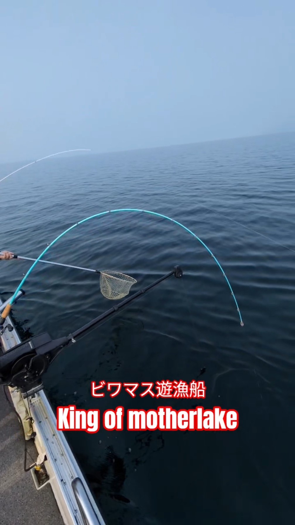 海外並行輸入正規品 ビワマス #fishing #ビワマストローリング #釣り #レイク その他