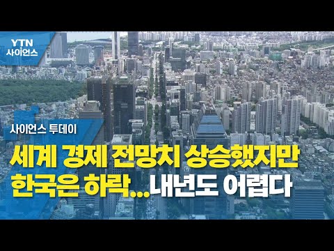 세계 경제 전망치 상승했지만 한국은 하락...내년도 어렵다 / YTN 사이언스