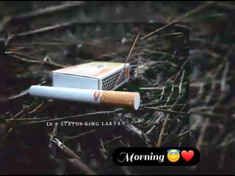 Smoking - Cigarette WhatsApp status❤/Cigarette lover 😍❤