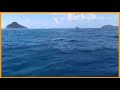 لماذا بحر جزر الق مر هو الأجمل في العالم 