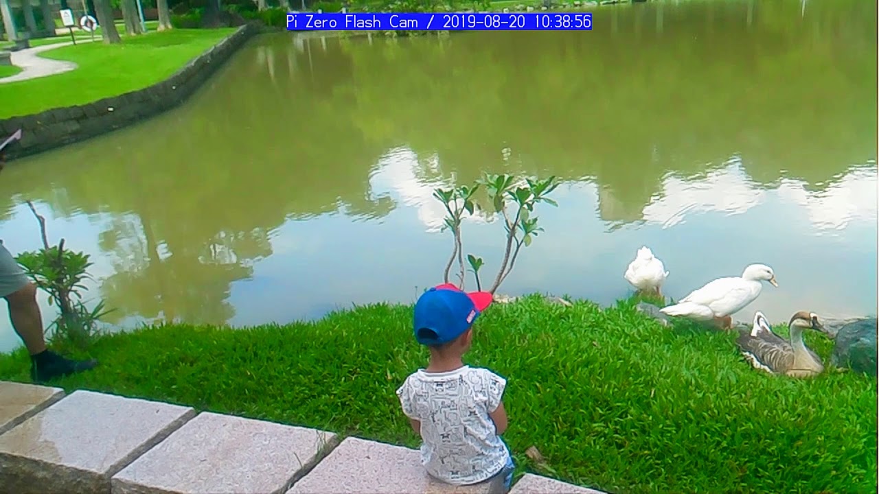 Raspberry Pi Zero "Flash Cam" Video Test (Zero Spy Camera V1.3) - YouTube