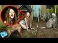 5 Children Who Were Raised By Animals - Feral Children | 5 Kids Raised By Animals