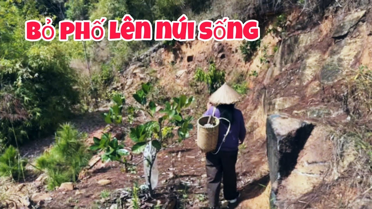 Lên núi đốn củi