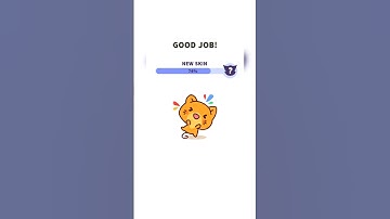 Impossible Cat Escape! Can You Beat Level 331?