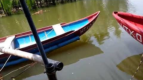 Rừng dừa Tịnh Khê TP Quảng Ngãi Việt Nam