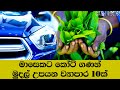 Best millionaire business ideas in sri lanka sinhala        10