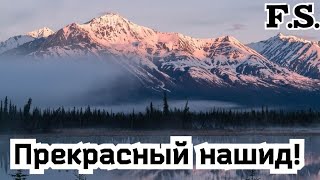 Приятный нашид | О цветы детского сада | Абу Райян #nasheed #нашиды #Абу_Райян