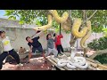 Brave experts confront a nest of giant snakes in an abandoned house.