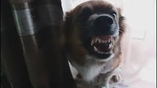 David Diepold - Hymns - (Just a Collection)