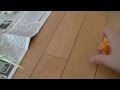 おしゃべりインコのピッピがおもちゃで遊ぶ